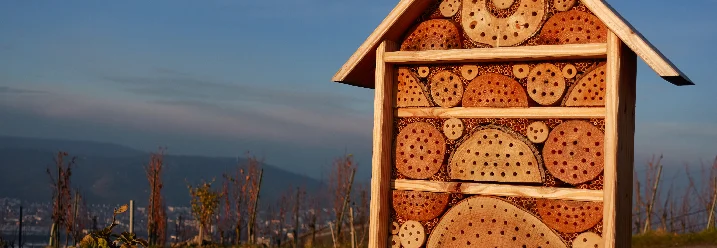 Insektenhotel aus Holz